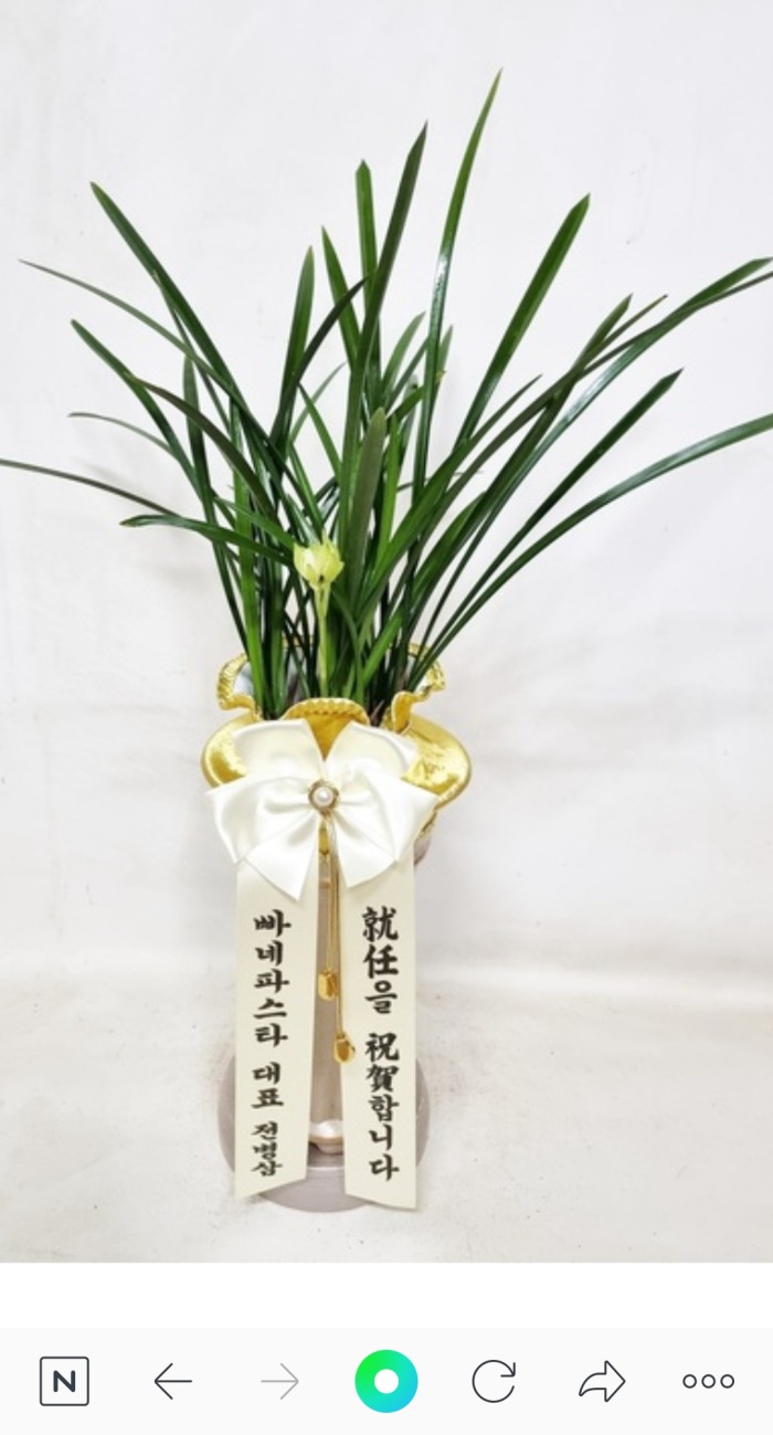 糭 